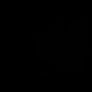 Meet your Posher, Adan